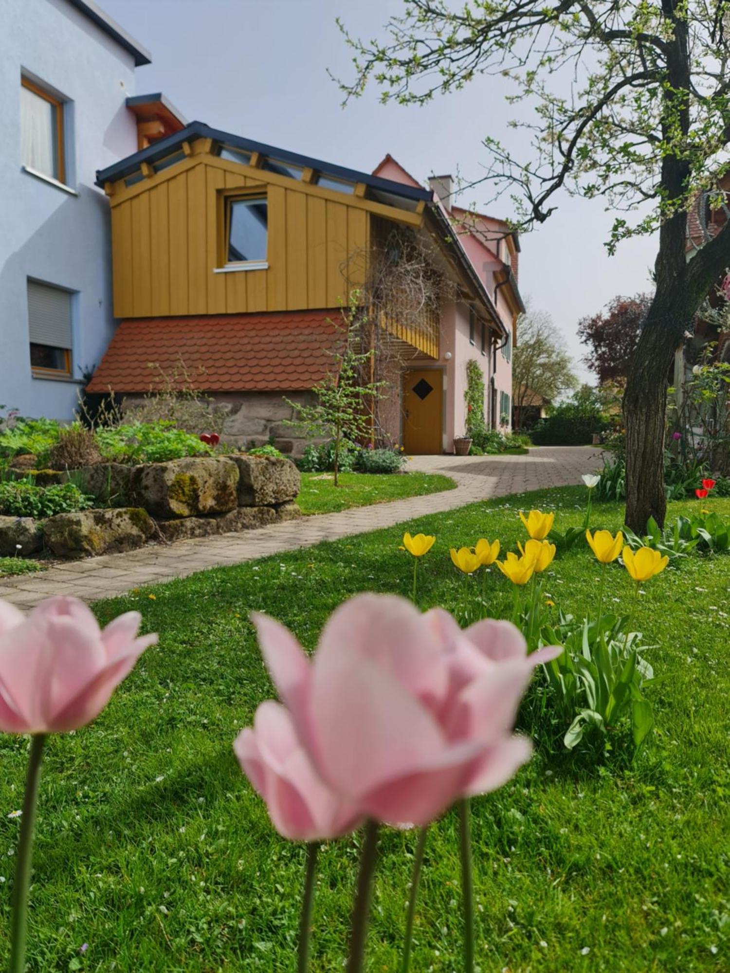 Ferienwohnung Wiesenhof Neuhof an der Zenn Exterior foto